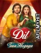 Dil Tera Hogaya (2020) Urdu Full Movie HDRip