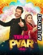 Teray Pyar Mai (2020) Urdu Full Movie HDRip